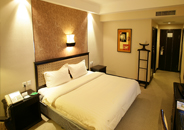 ��������[15��]